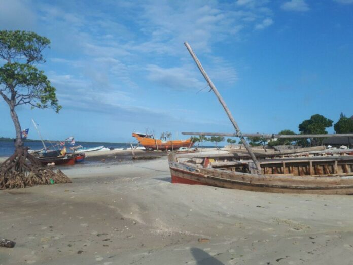 Lamu_barcos