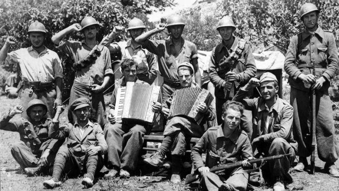 Brigadistas en los campos de olivos